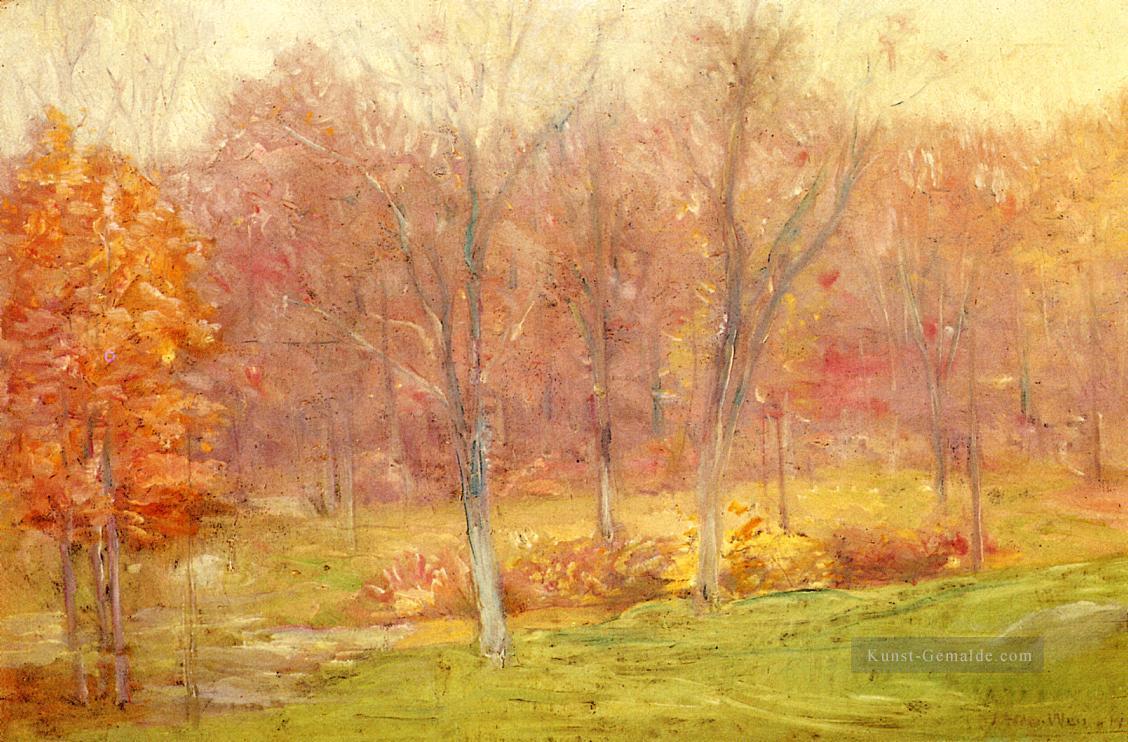 Herbst Regen impressionistischen Landschaft Julian Alden Weir Wald Ölgemälde
